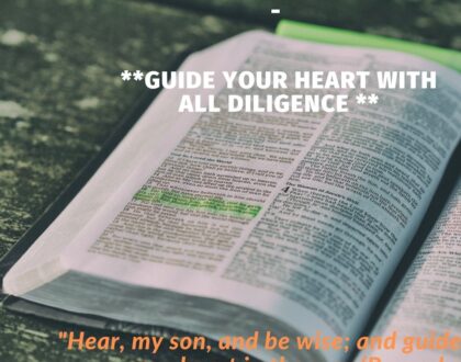 Biblical Meditation part 23: Guide your heart with all diligence