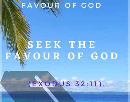 Seek the favor of God