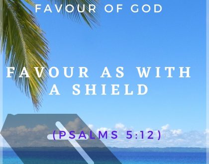Day 10 of 31 days: The favour of God – Favour as with a shield