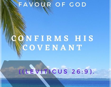 Day 11 of 31 days: The favour of God – Confirms His Covenant