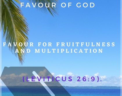 Day 15 of 31 days: The favour of God – Favour for Fruitfulness and multiplication