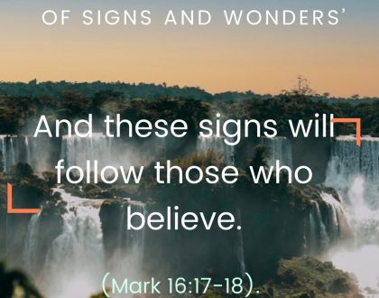 And these signs will follow those who believe.