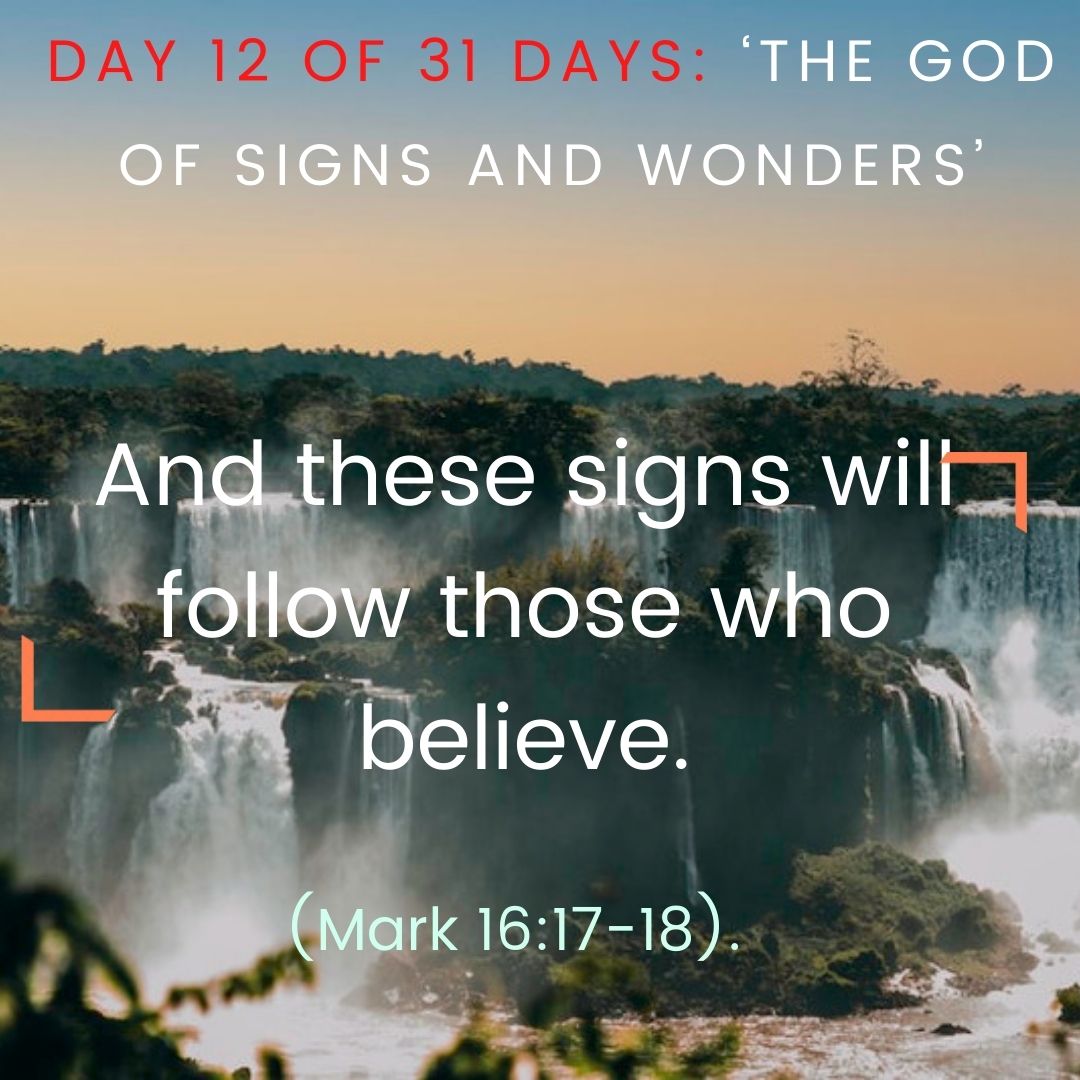 And these signs will follow those who believe.