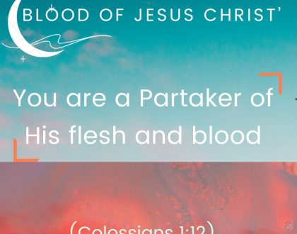 Day 29 of  30 days: ‘The Blood of Jesus Christ’–You are a Partaker of His flesh and blood