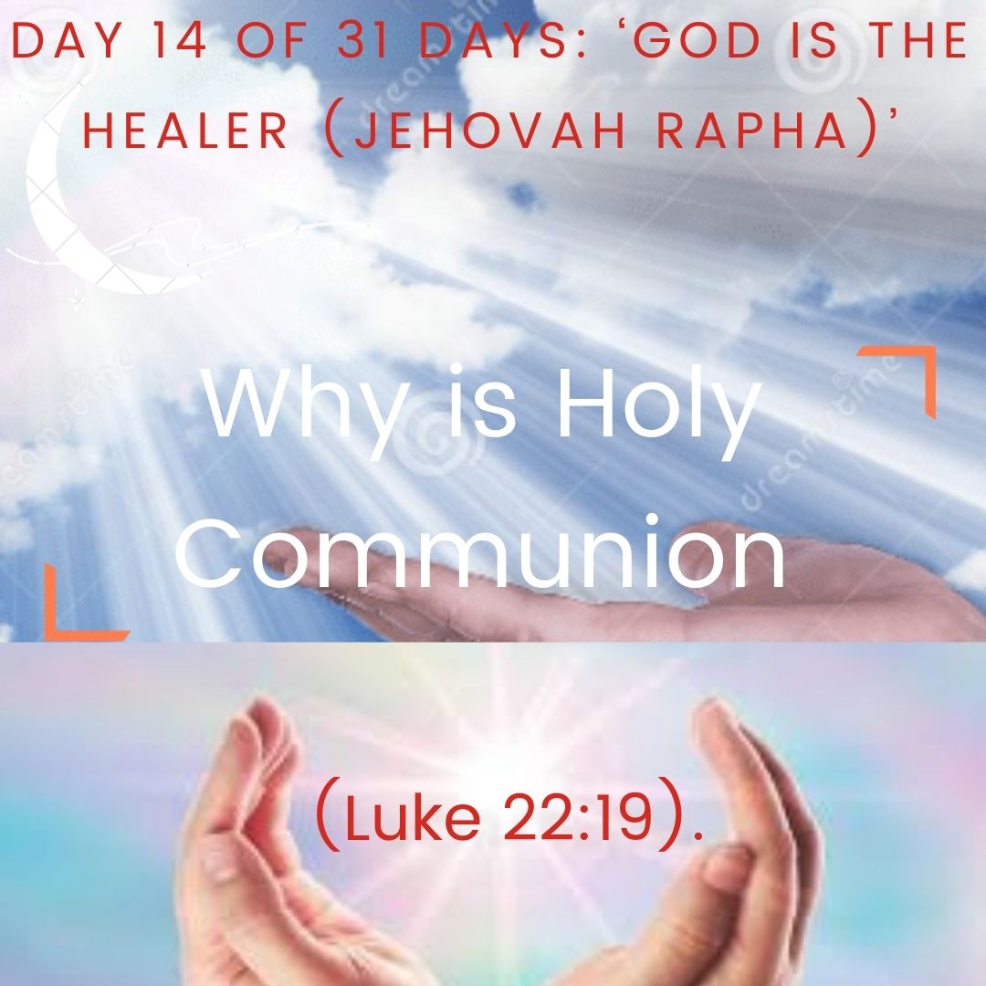 Why is Holy Communion necessary?