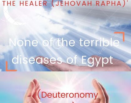 None of the terrible diseases of Egypt