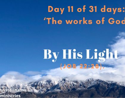 Day 11 of 31 days: ‘The works of God’ – By His Light