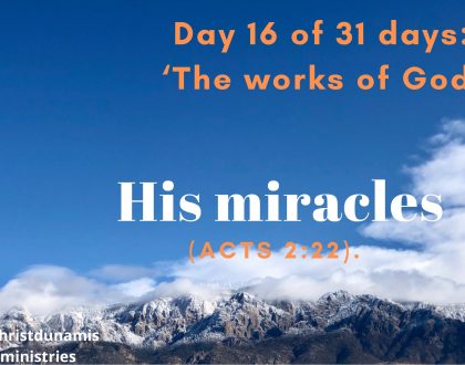 Day 16 of 31 days: ‘The works of God’ – His miracles