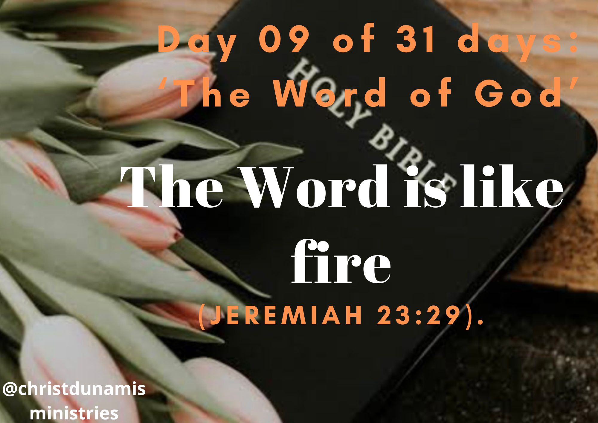 Day 09 of 31 days: ‘The Word of God’ – The Word is like fire