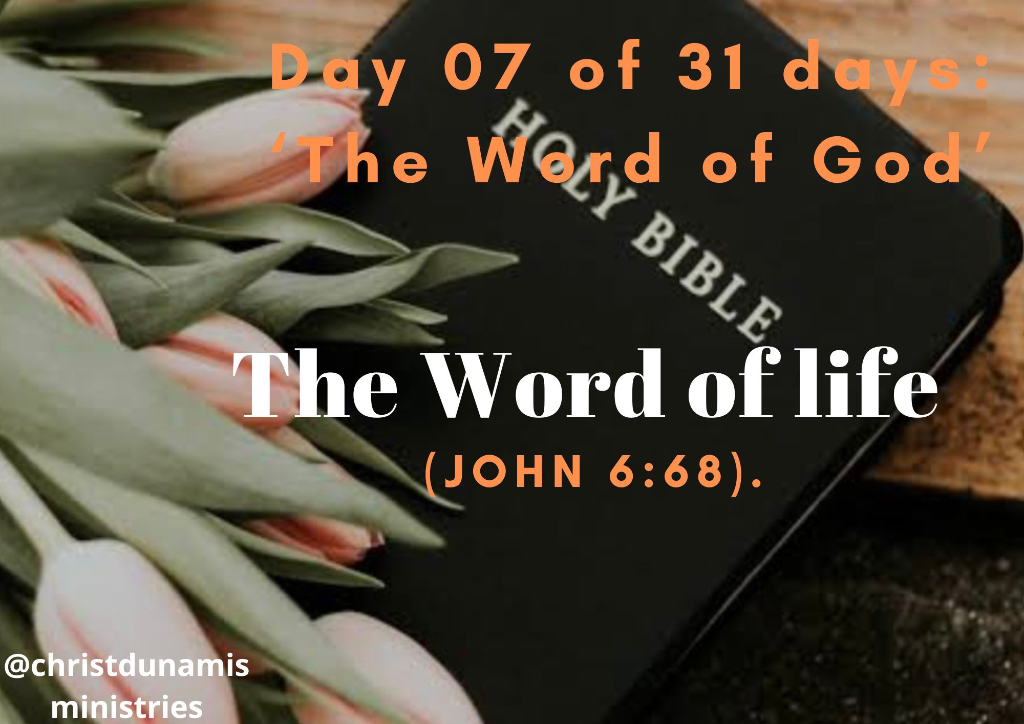 Day 07 of 31 days: ‘The Word of God’ – The Word of life