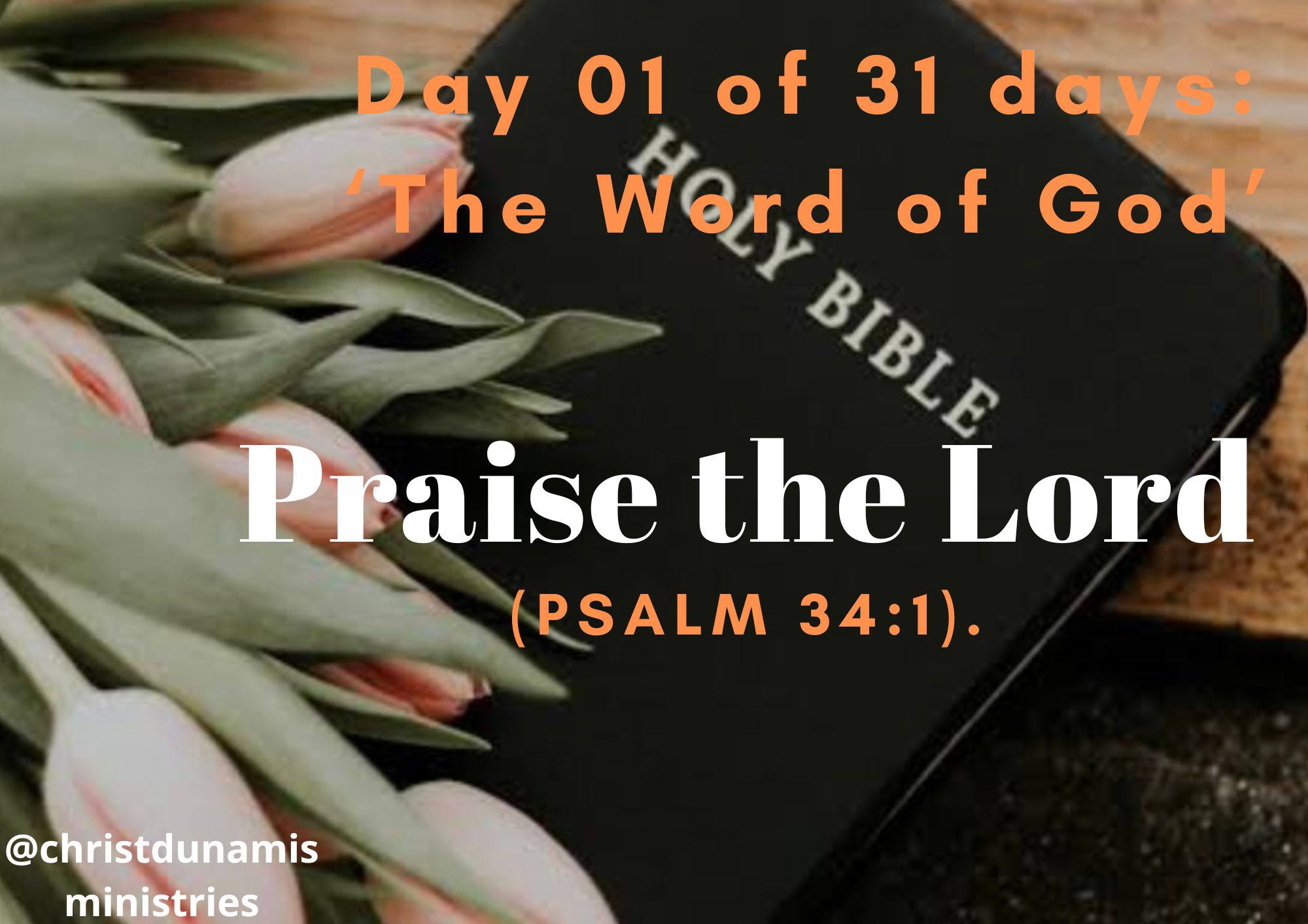Day 01 of 31 days: ‘The Word of God’ – Praise the Lord
