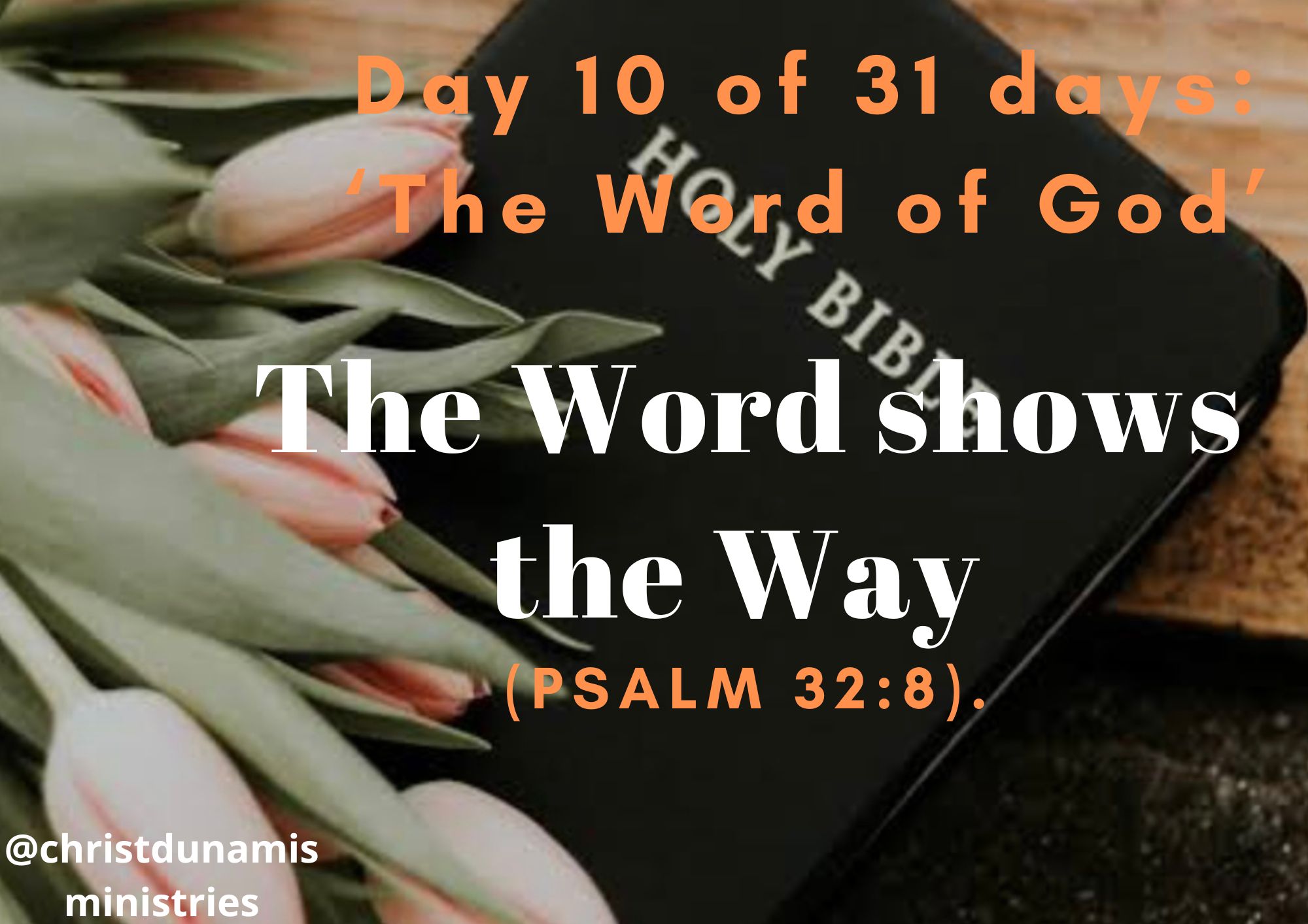 The Word shows the Way