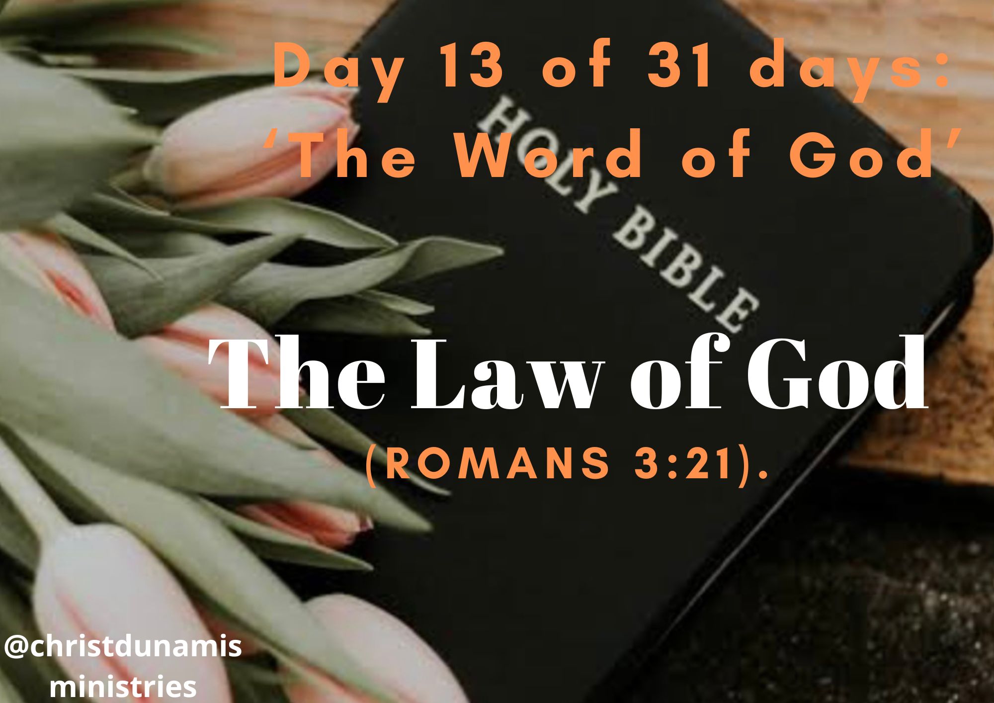 The Law of God