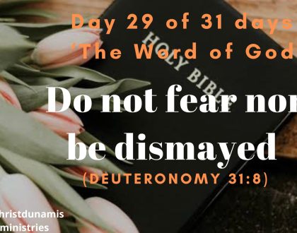 Day  29 of  31 days: ‘The Word of God’ – Do not fear nor be dismayed 
