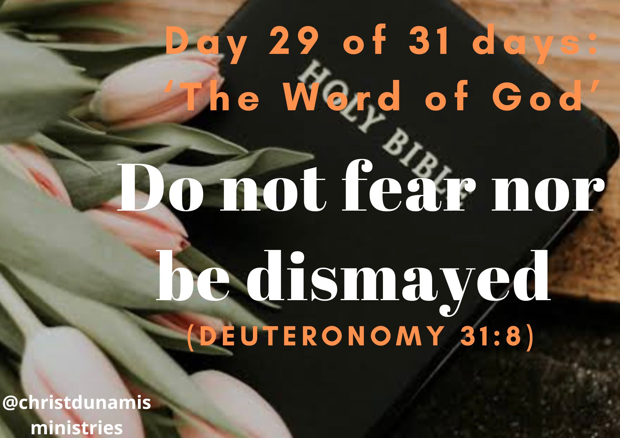 Day 29 of 31 days: ‘The Word of God’ – Do not fear nor be dismayed