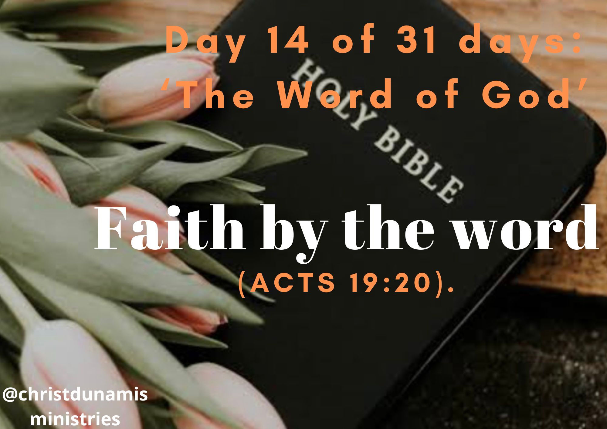 Day 14 of 31 days: ‘The Word of God’ – Faith by the word