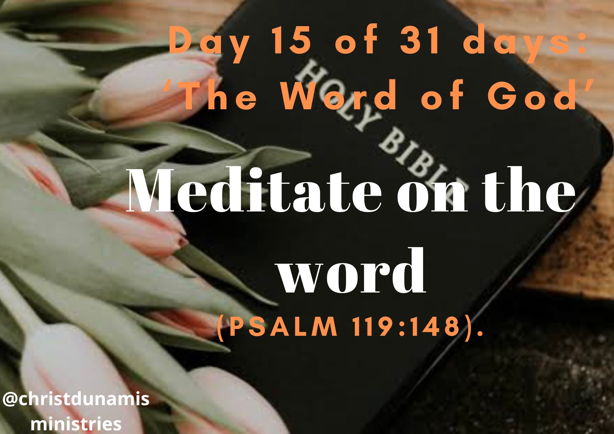 Day 15 of 31 days: ‘The Word of God’ – Meditate on the word