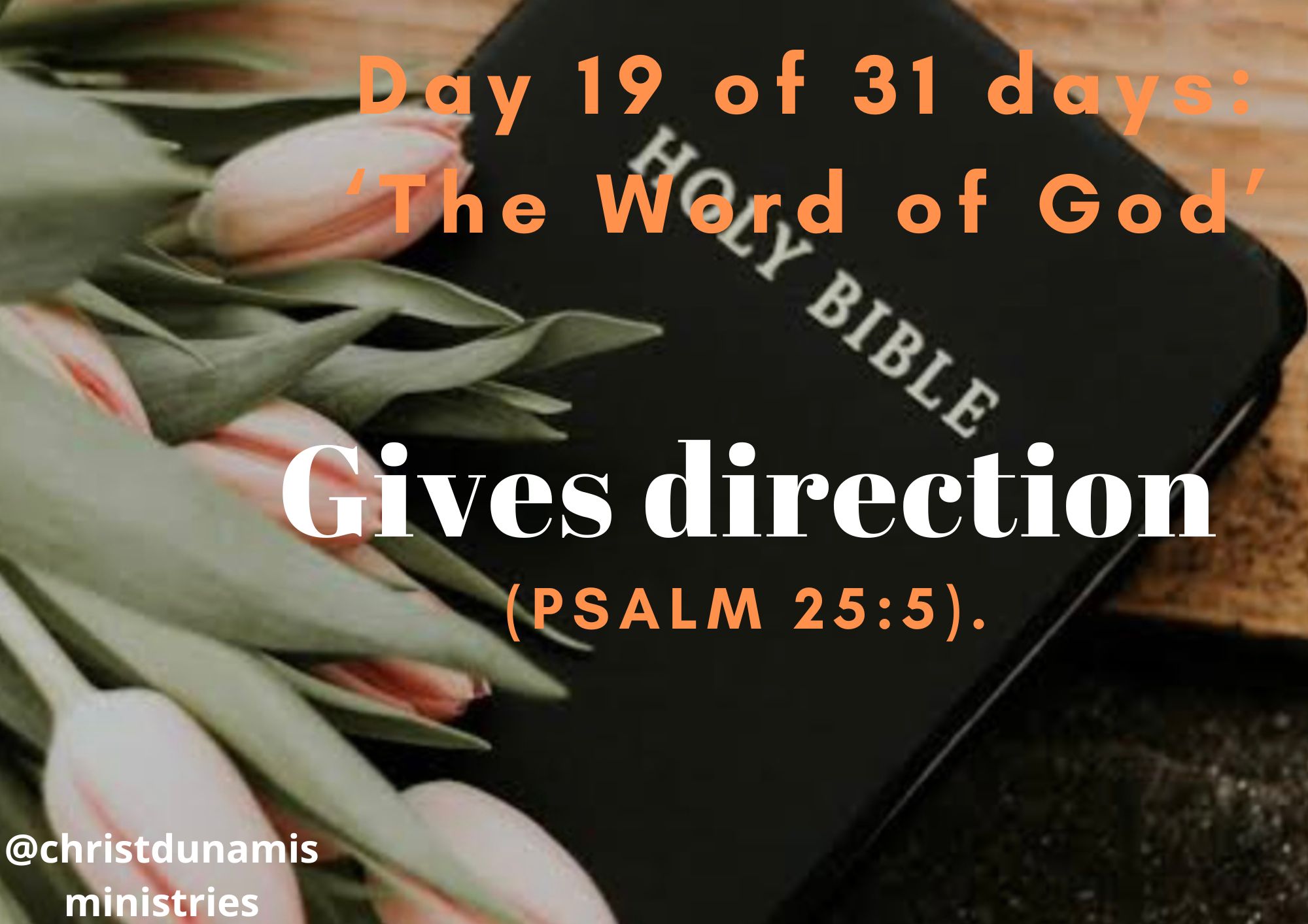Day 19 of 31 days: ‘The Word of God’ – Gives direction
