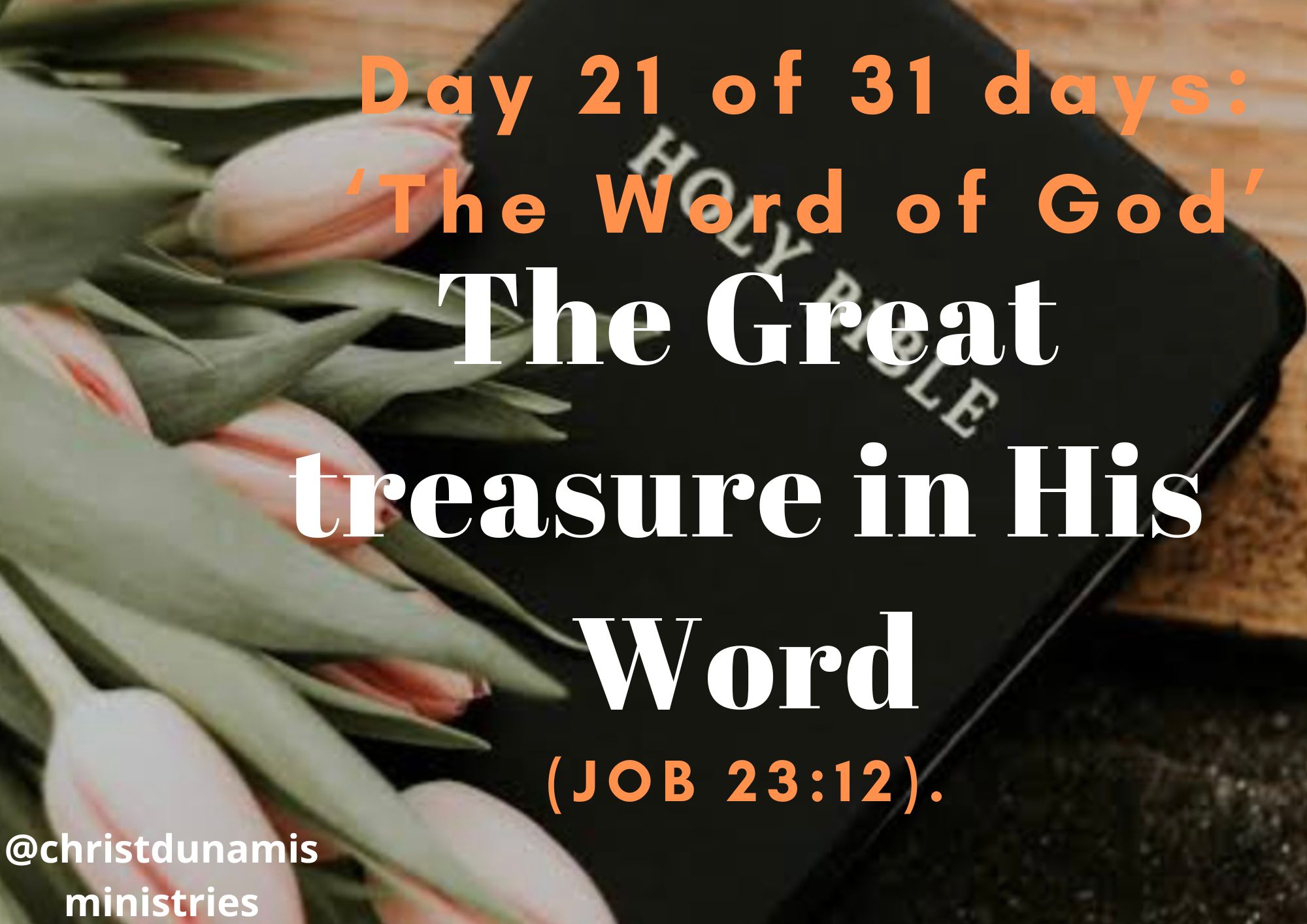 Day 21 of 31 days: ‘The Word of God’ – The Great treasure in His Word
