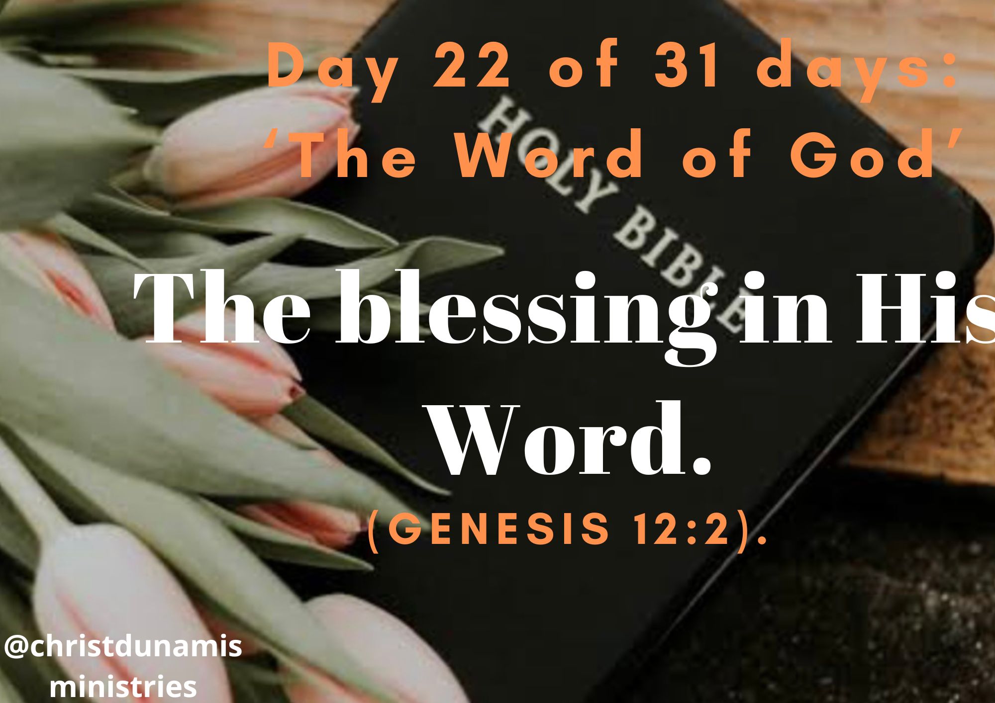 Day 22 of 31 days: ‘The Word of God’ – The blessing in His Word.