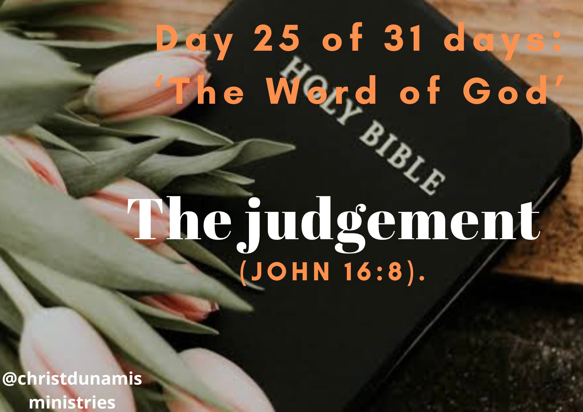 Day 25 of 31 days: ‘The Word of God’ – The judgement