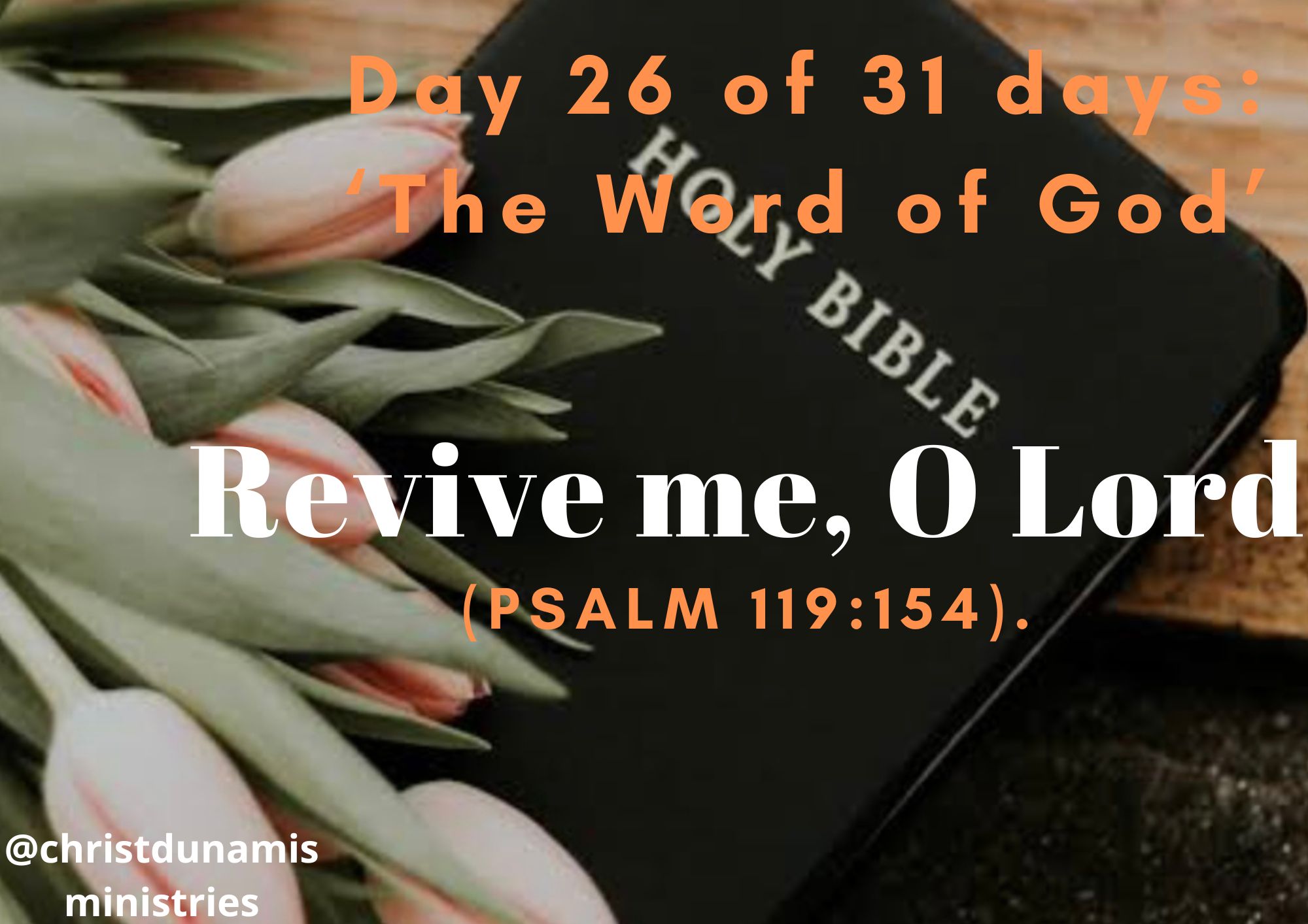 Day 26 of 31 days: ‘The Word of God’ – Revive me, O Lord