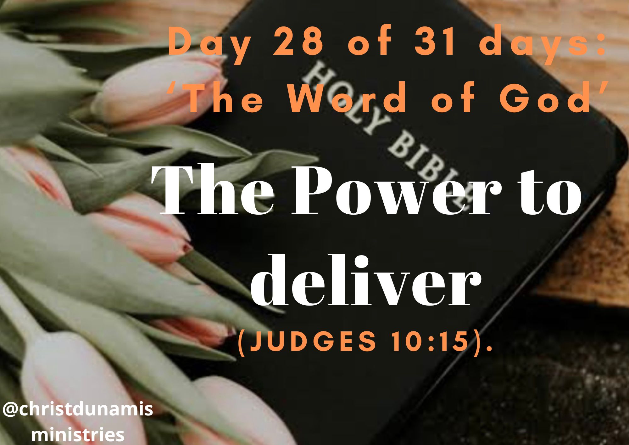Day 28 of 31 days: ‘The Word of God’ – The Power to deliver
