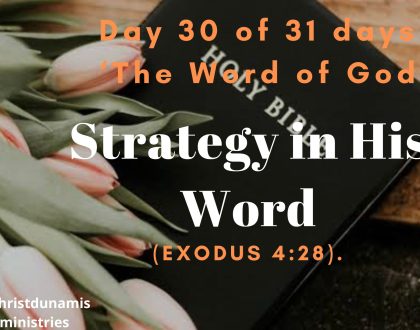 Day  30 of  31 days: ‘The Word of God’ –  Strategy  in His Word
