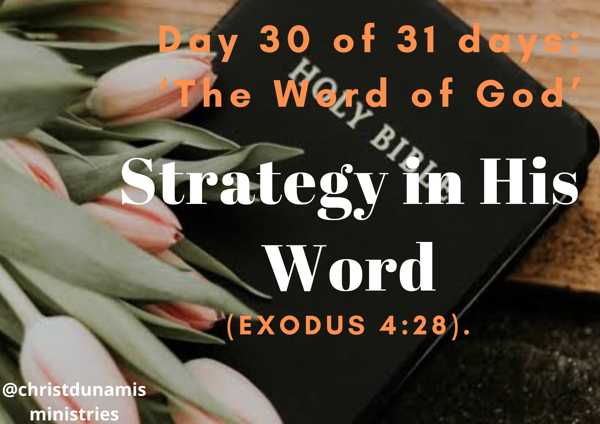 Day 30 of 31 days: ‘The Word of God’ – Strategy in His Word