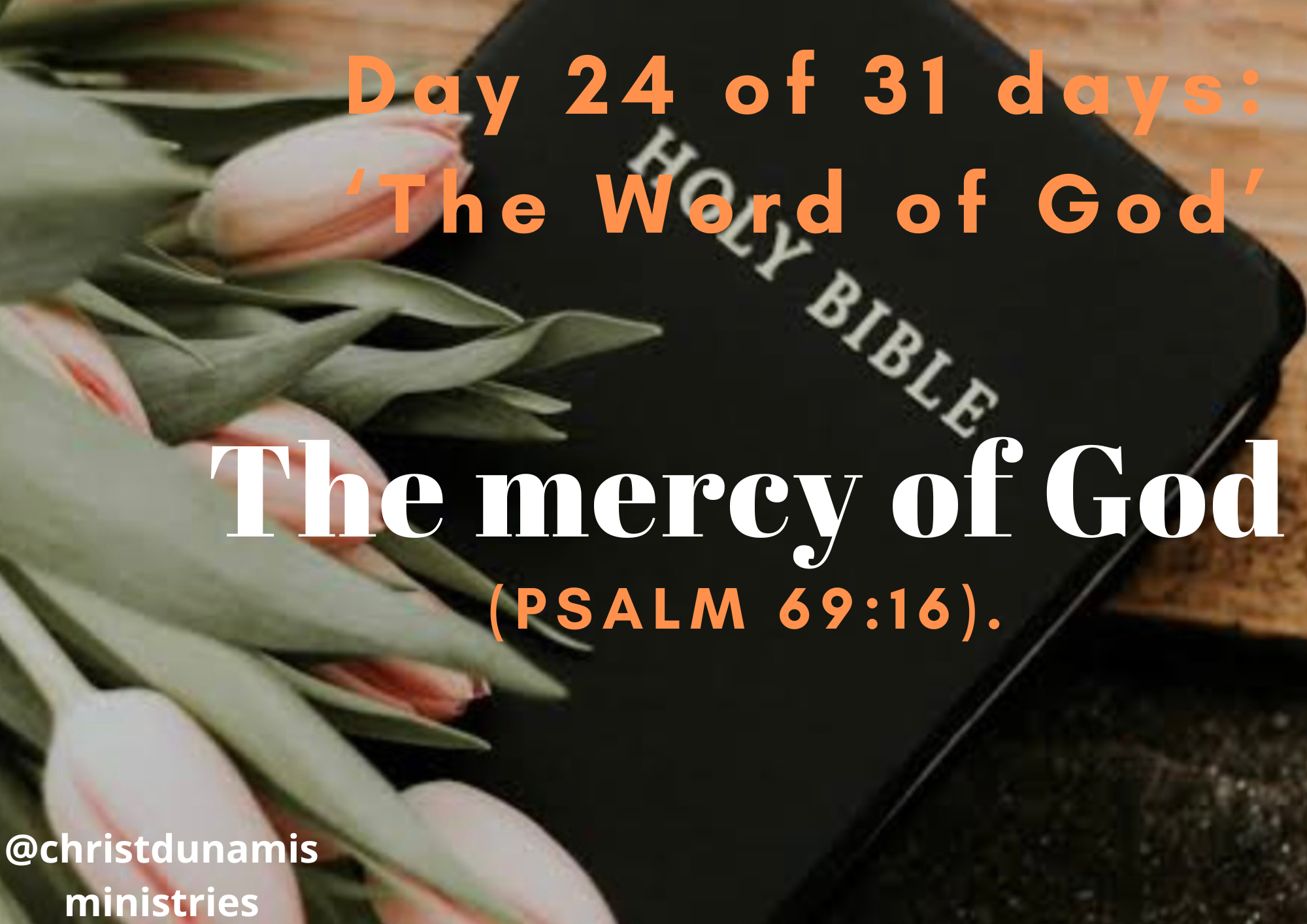 Day 24 of 31 days: ‘The Word of God’ – The mercy of God