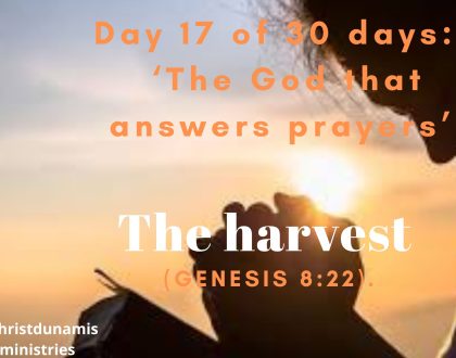 The harvest