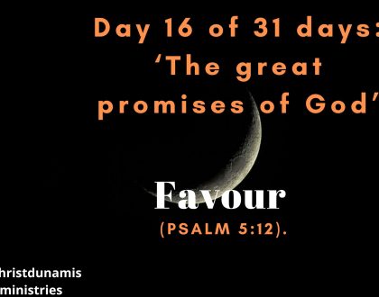 Day 16 of 31 days: ‘The great promises of God’ – Favour
