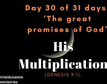 Day 30 of 31 days: ‘The great promises of God’ – His Multiplication