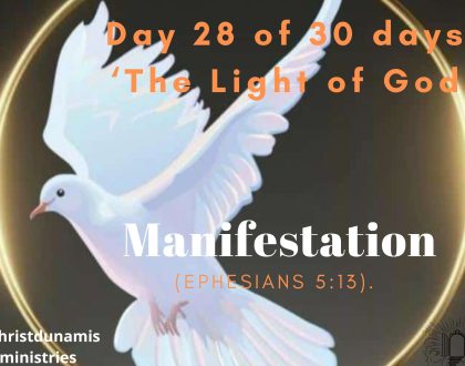 Manifestation