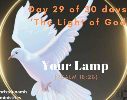 Your Lamp