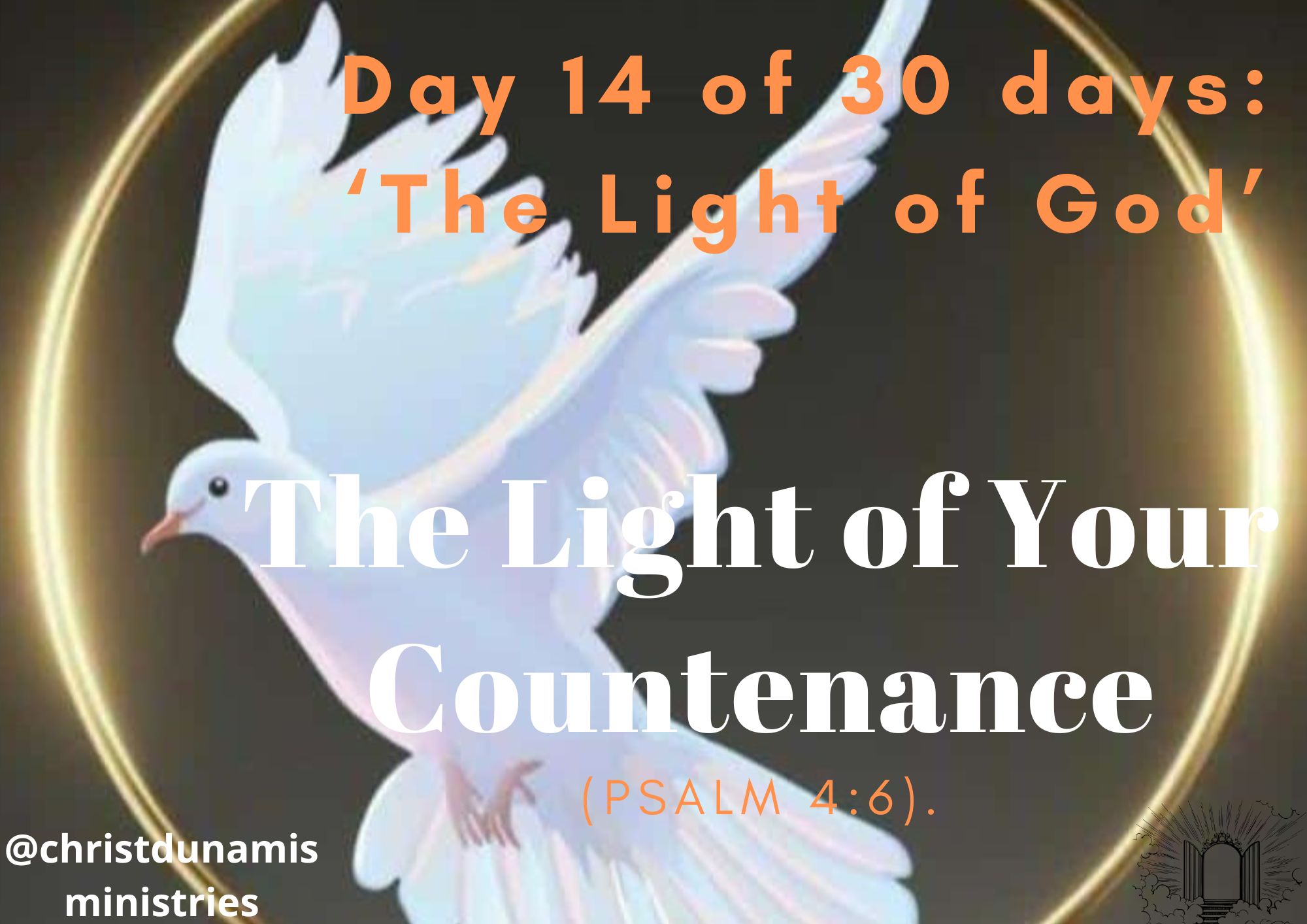 Day 14 of 30 days: ‘The Light of God’ – The Light of Your Countenance