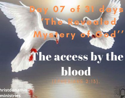 The access by the blood