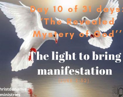 The light to bring manifestation