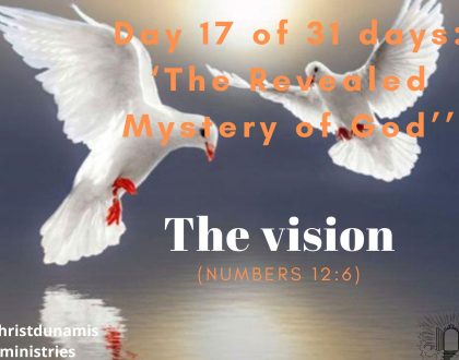 The vision