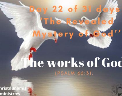 The works of God