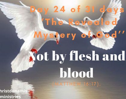 Not by flesh and blood
