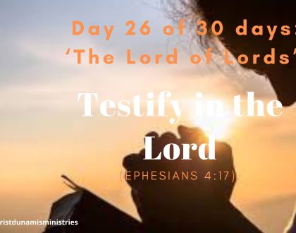 Testify in the Lord
