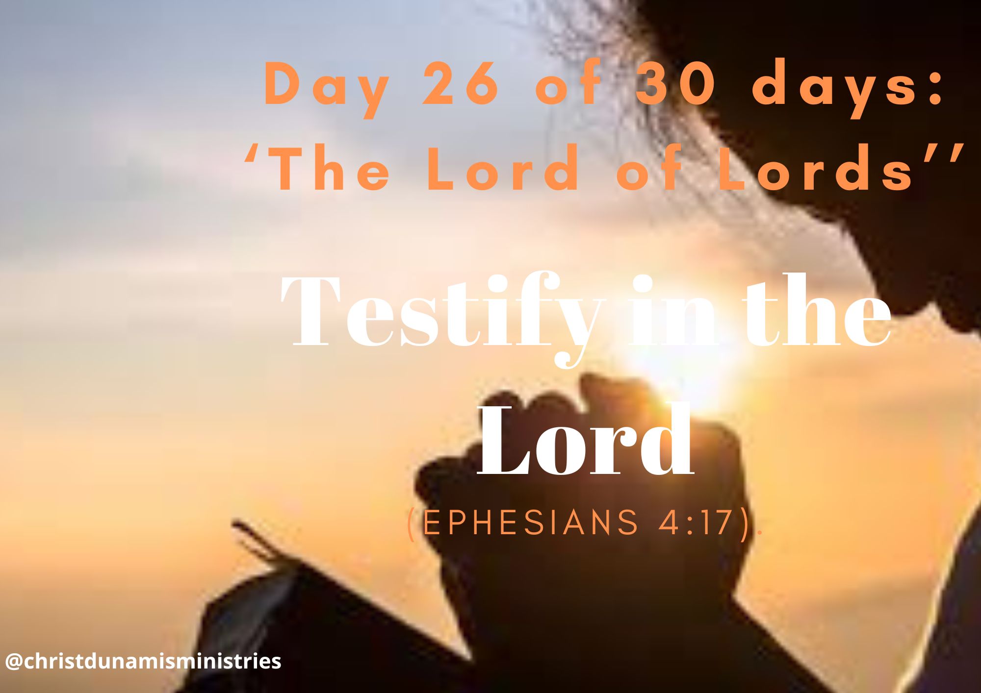 Testify in the Lord
