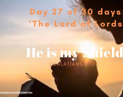 He is my Shield