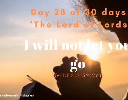 Day 28 of 30 days: ‘The Lord of Lords’ – I will not let you go