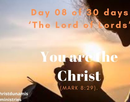 Day 8 of 30 days: ‘The Lord of Lords’ – You are the Christ