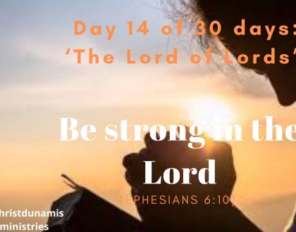 Day 14 of 30 days: ‘The Lord of Lords’ – Be strong in the Lord 