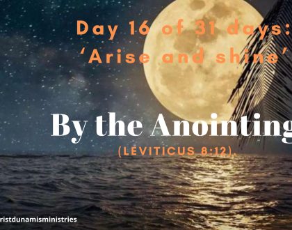 Day 16 of 31 days: ‘Arise and shine’ – By the Anointing 