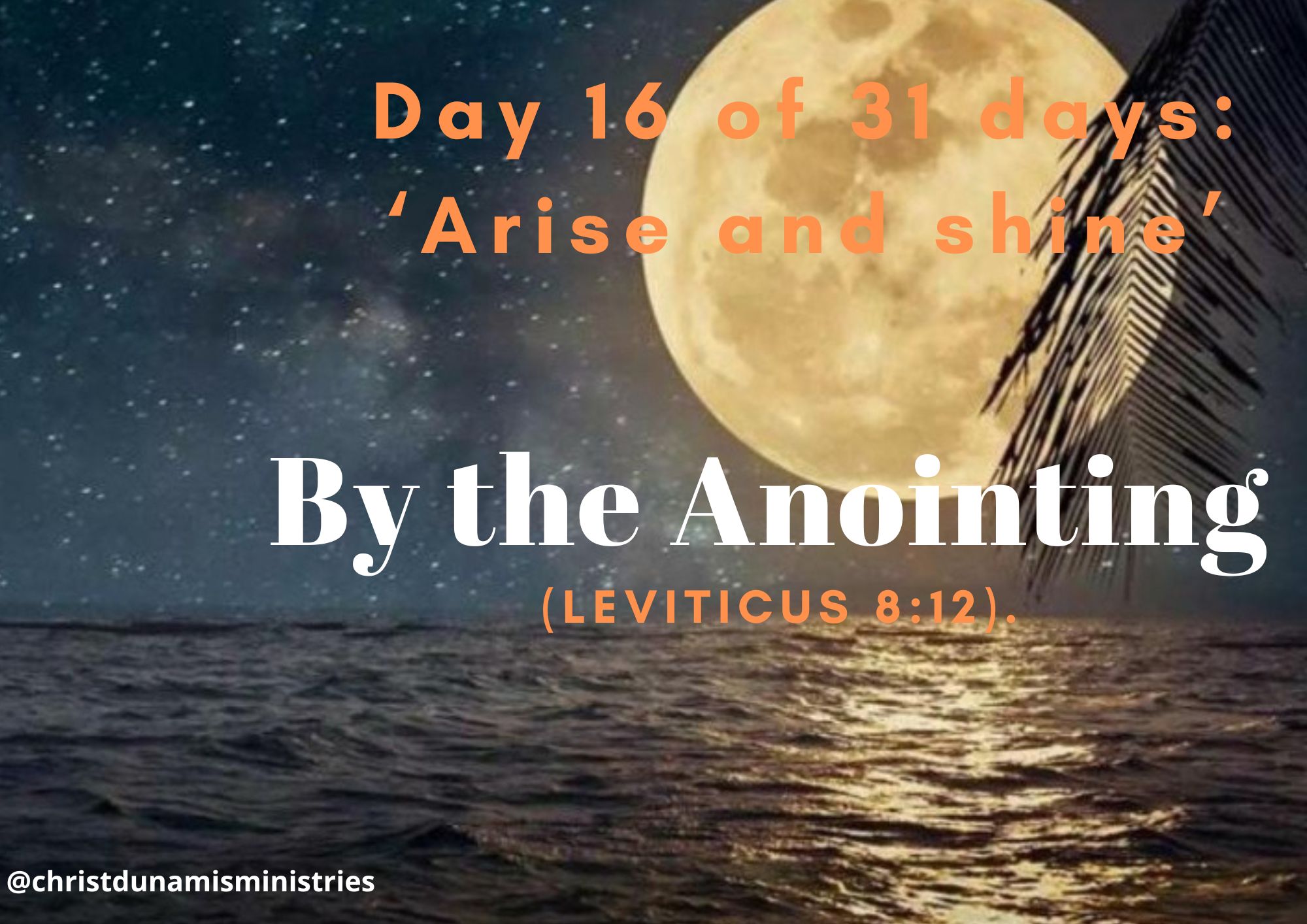 Day 16 of 31 days: ‘Arise and shine’ – By the Anointing 