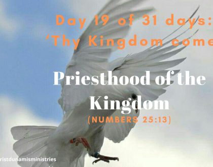 Day 19 of 31 days: ‘Thy Kingdom come’ – Priesthood of the Kingdom